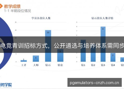 电竞青训招标方式,公开遴选与培养体系需同步 电竞青训招标方式,公开遴选与培养体系需同步