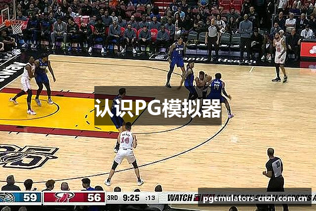 认识PG模拟器